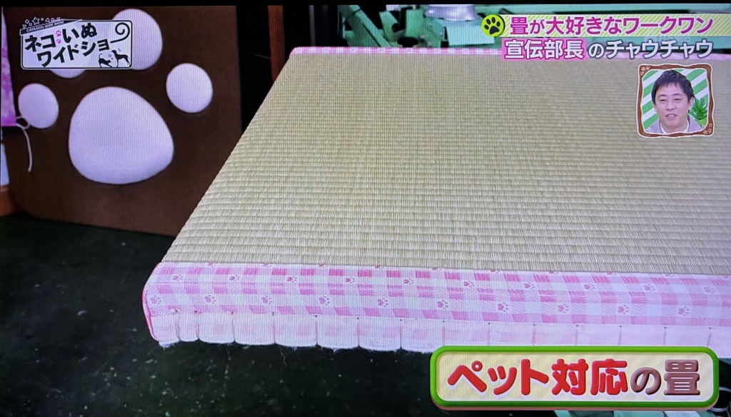 もふもふ7