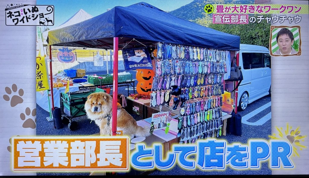 もふ１