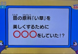 どろ染め１