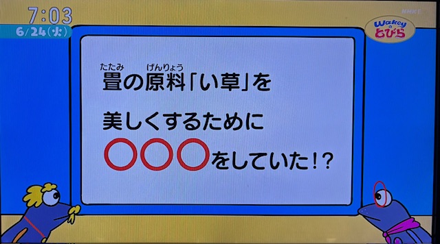 どろ染め１