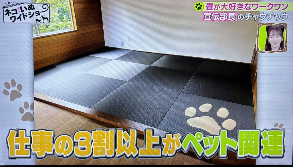 もふ３