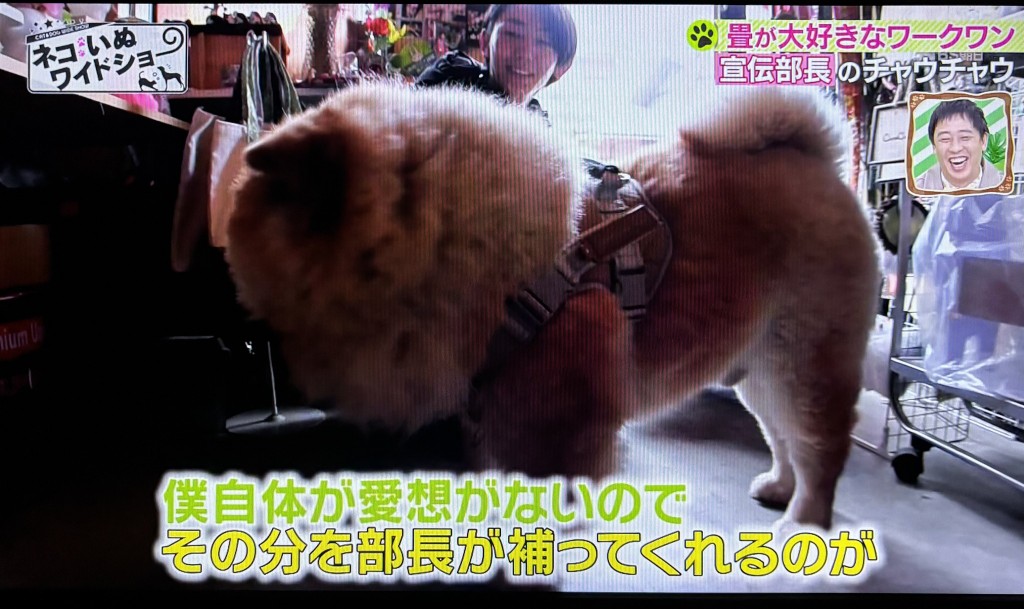 もふ４