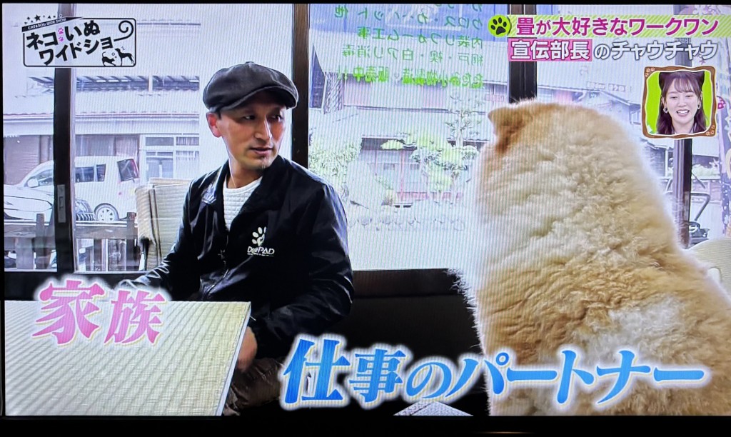 もふ５