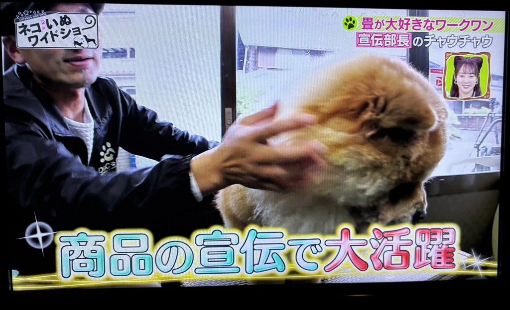 もふもふ5