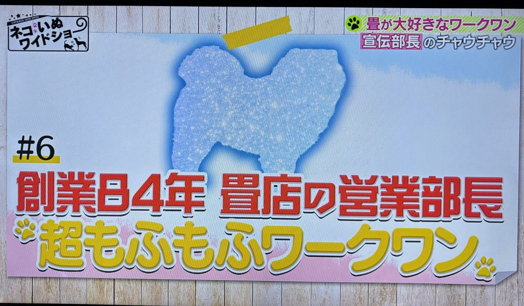 もふもふ1