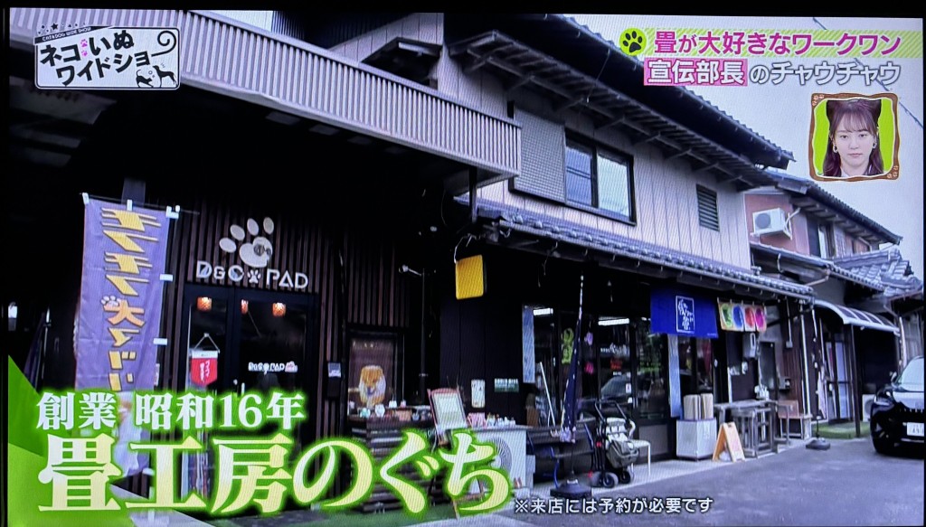 もふもふ2