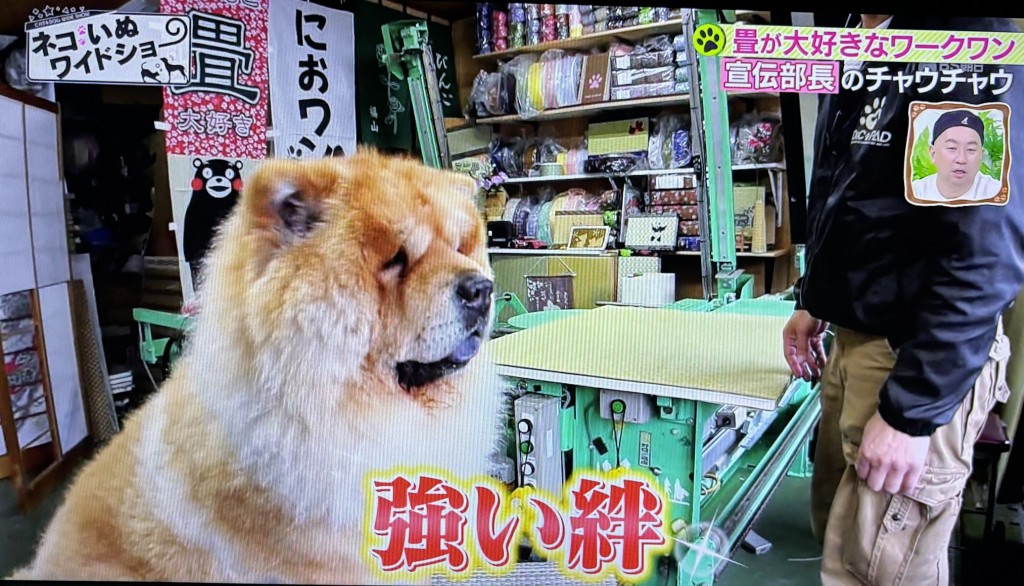 もふ６