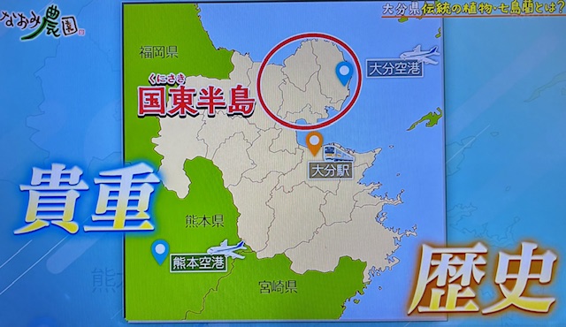 なおみ農園1-8