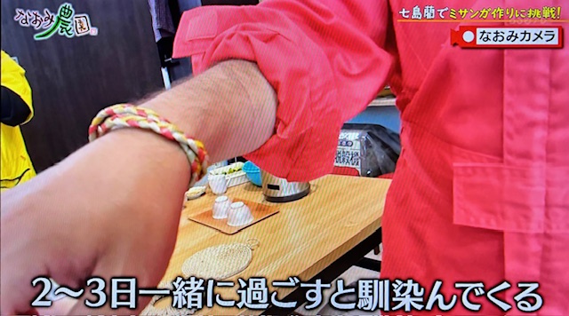 なおみ農園2-7