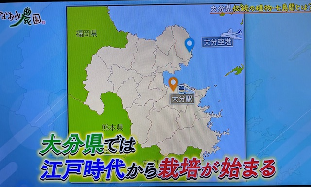 なおみ農園1-7