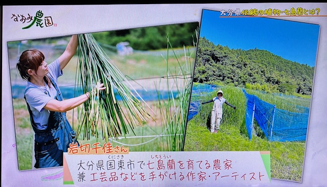なおみ農園2-12