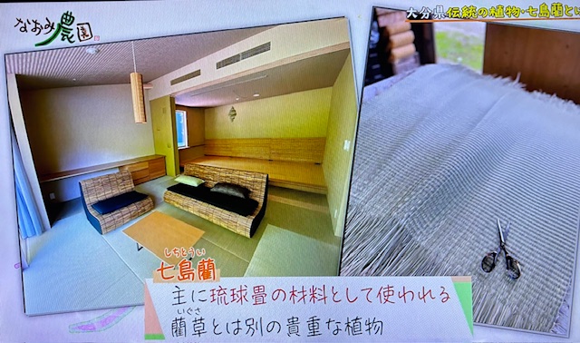 なおみ農園1-6