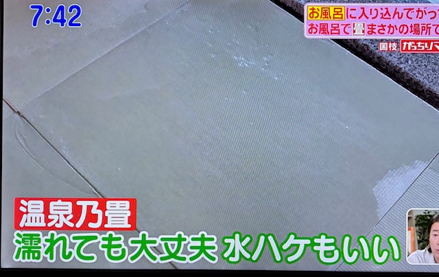 おんせん2-9