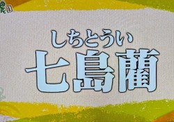 なおみ農園1-4