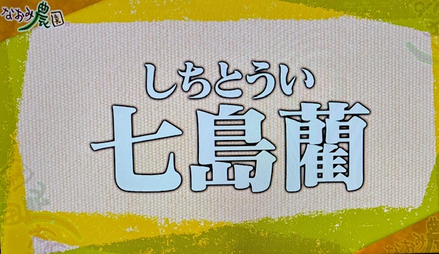 なおみ農園1-4