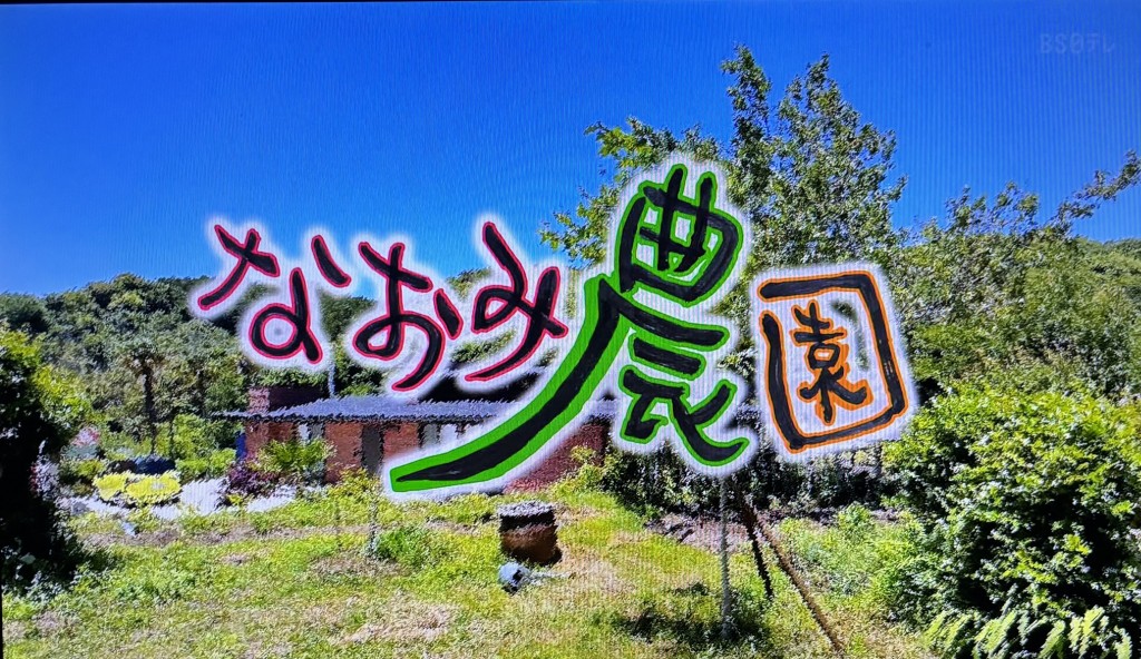 なおみ農園1-1
