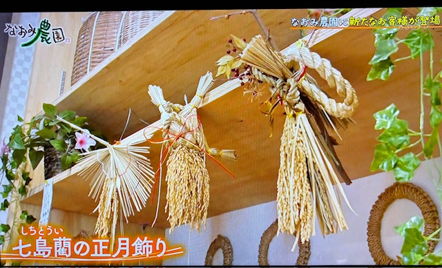 なおみ農園2-4