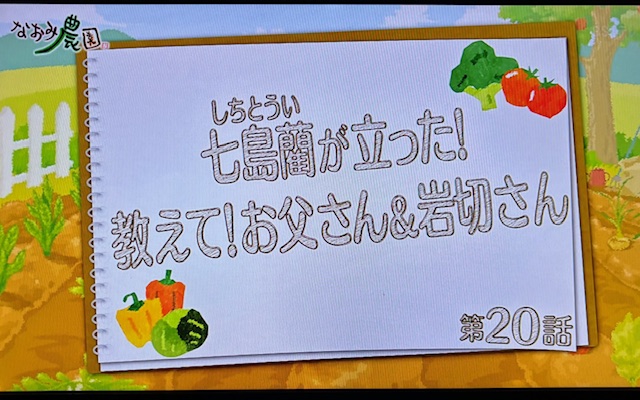 なおみ2510-2