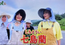 なおみ2510-1