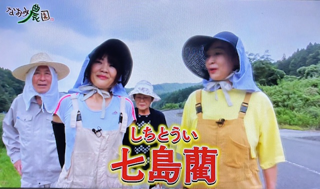なおみ2510-1