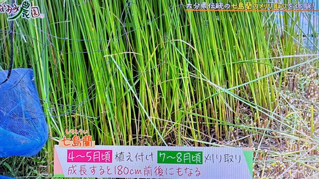 なおみ2510-3