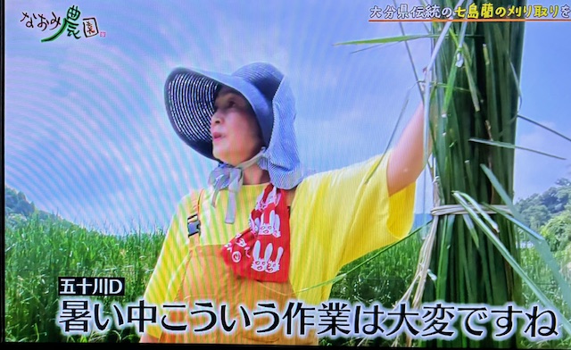 なおみ2510-4