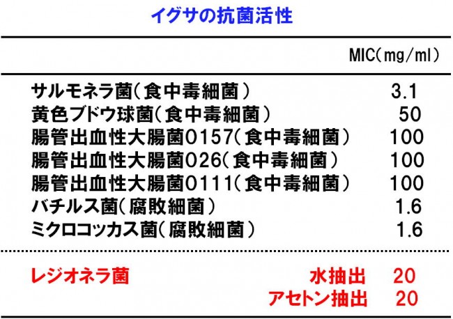 ランチョンセミナー5