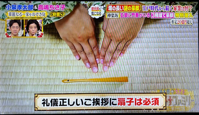 プラチナ　扇子１