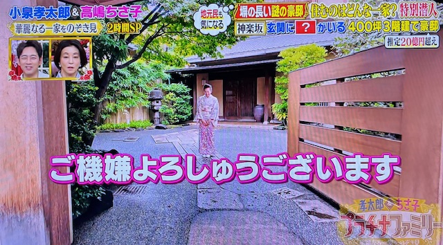 プラチナファミリー1-2