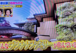 プラチナファミリー1-1