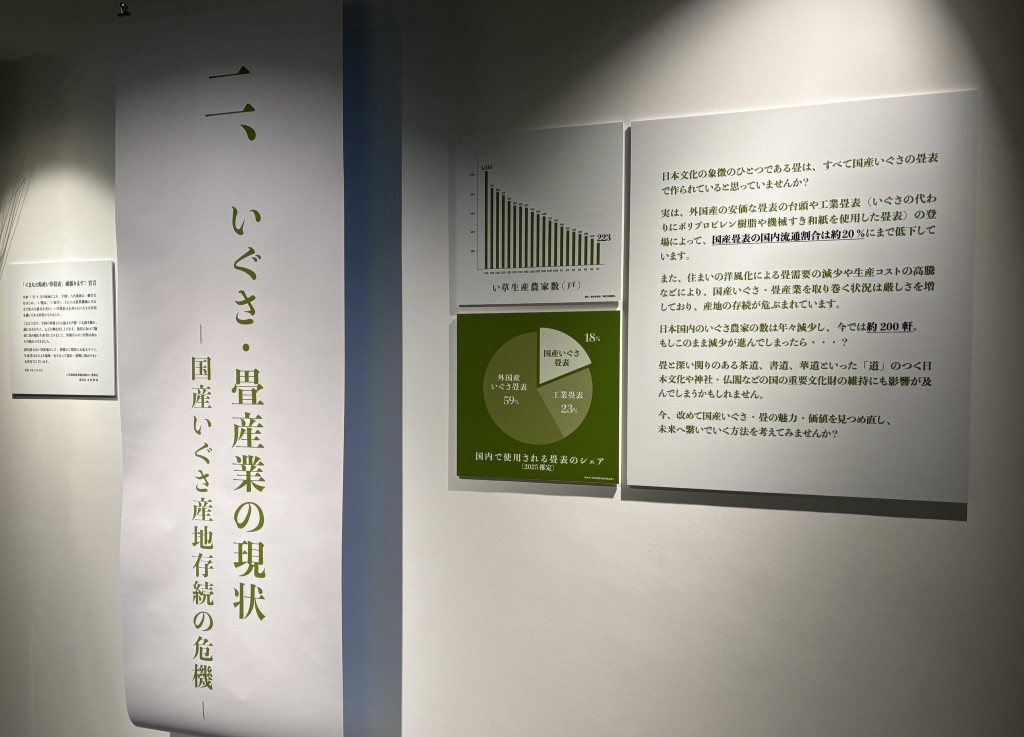 つながるイグサ5