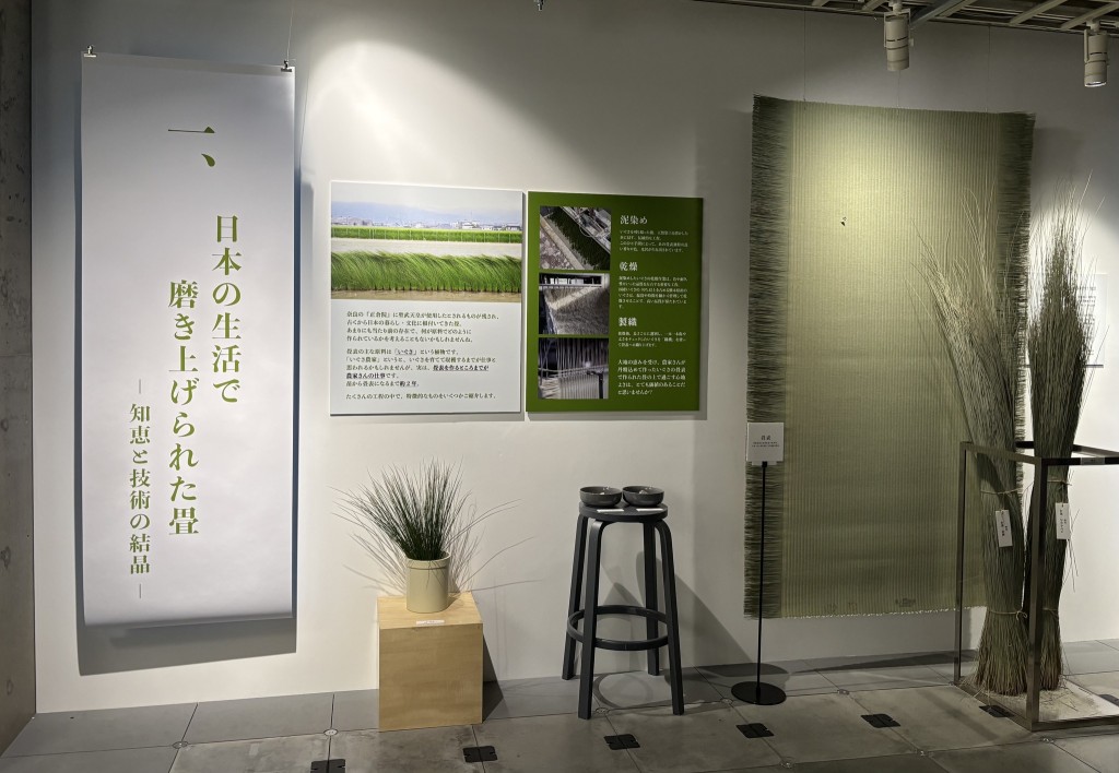 つながるイグサ２