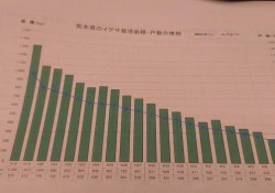 ２６年度　実績　いぐさ